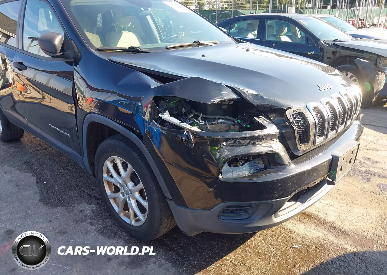 2016 Jeep Cherokee Sport VIN:1C4PJMAB6GW214632 - 6