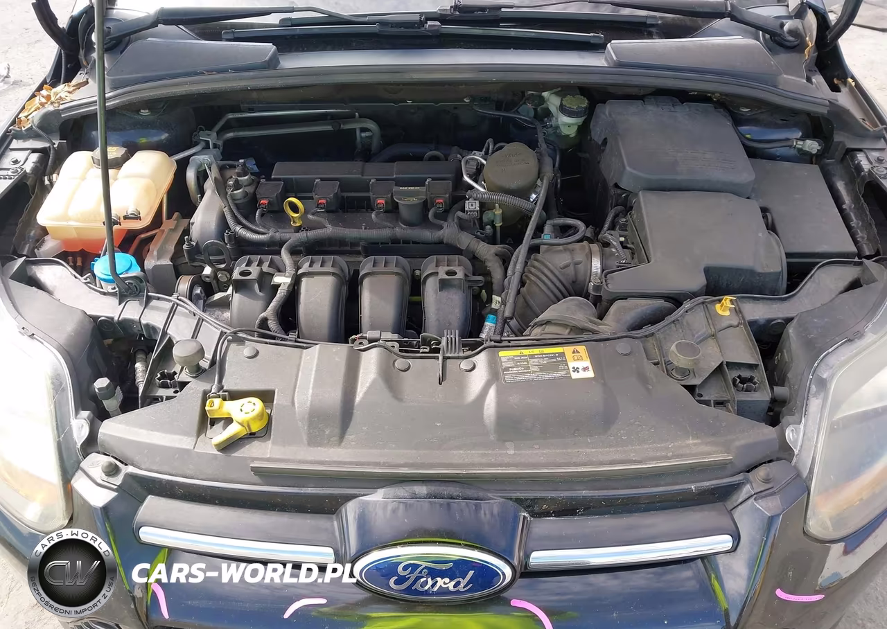 2013 Ford Focus Titanium VIN:1FADP3N29DL382547 - 10