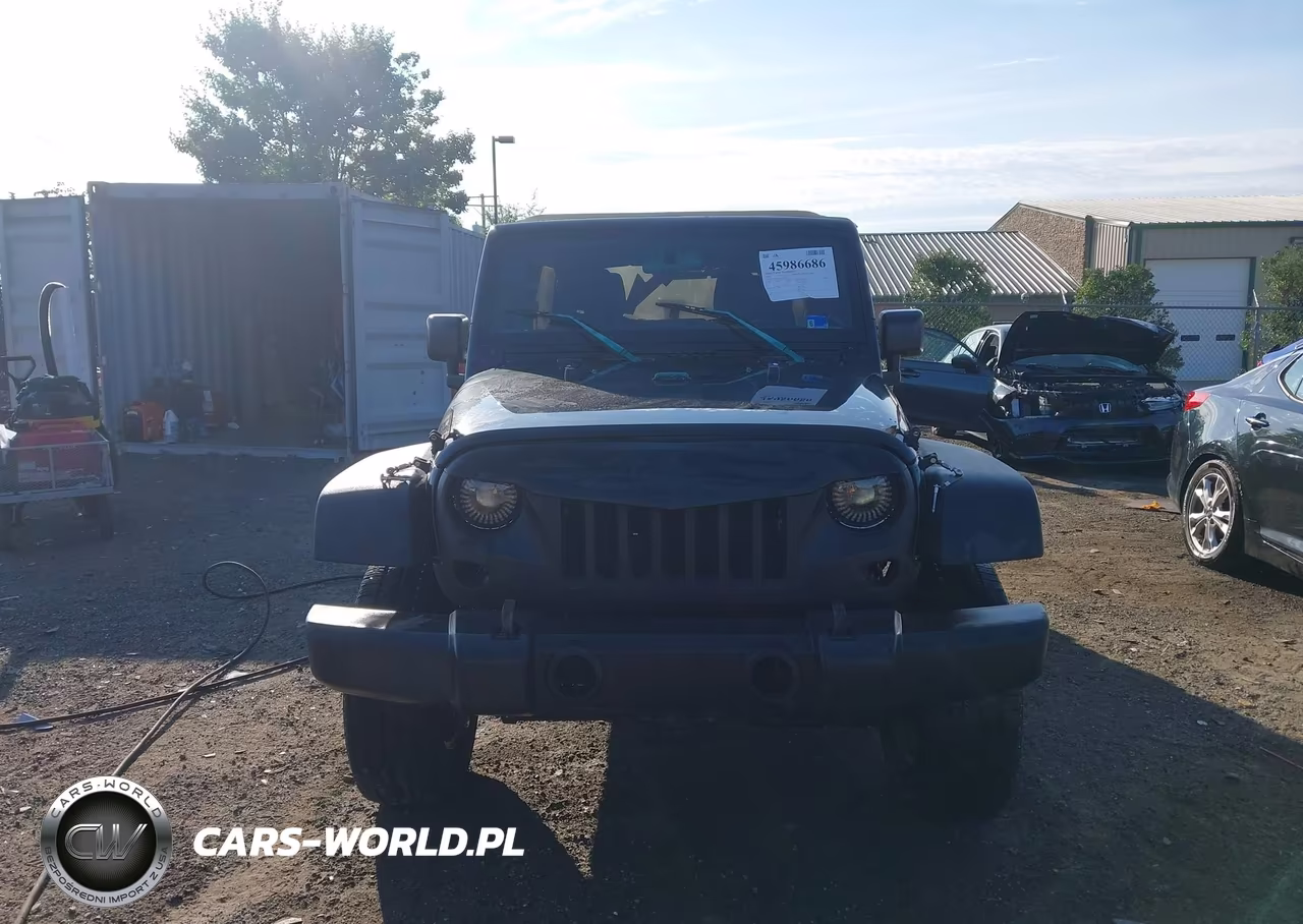 2016 Jeep Wrangler Unlimited Willys Wheeler VIN:1C4BJWDG9GL143067 - 12