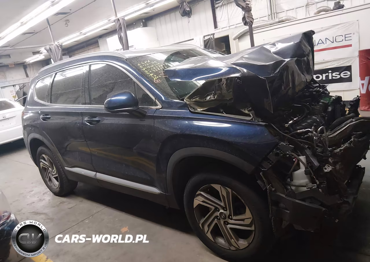 2022 Hyundai Santa Fe Sel VIN:5NMS2DAJ1NH410170 - 12