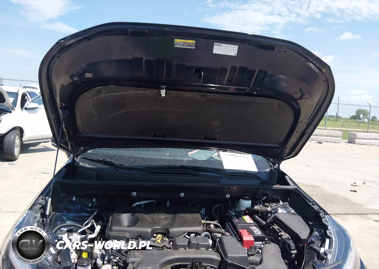 2023 Toyota Rav4 Xle VIN:2T3W1RFV2PW298829 - 10