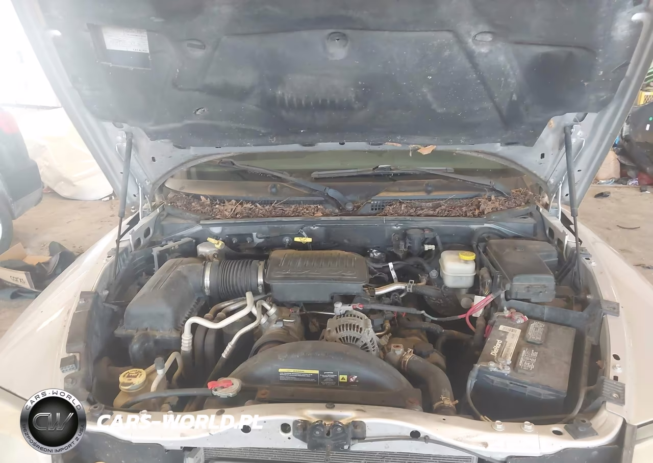 2007 Dodge Dakota Slt VIN:1D7HW42P07S128889 - 10