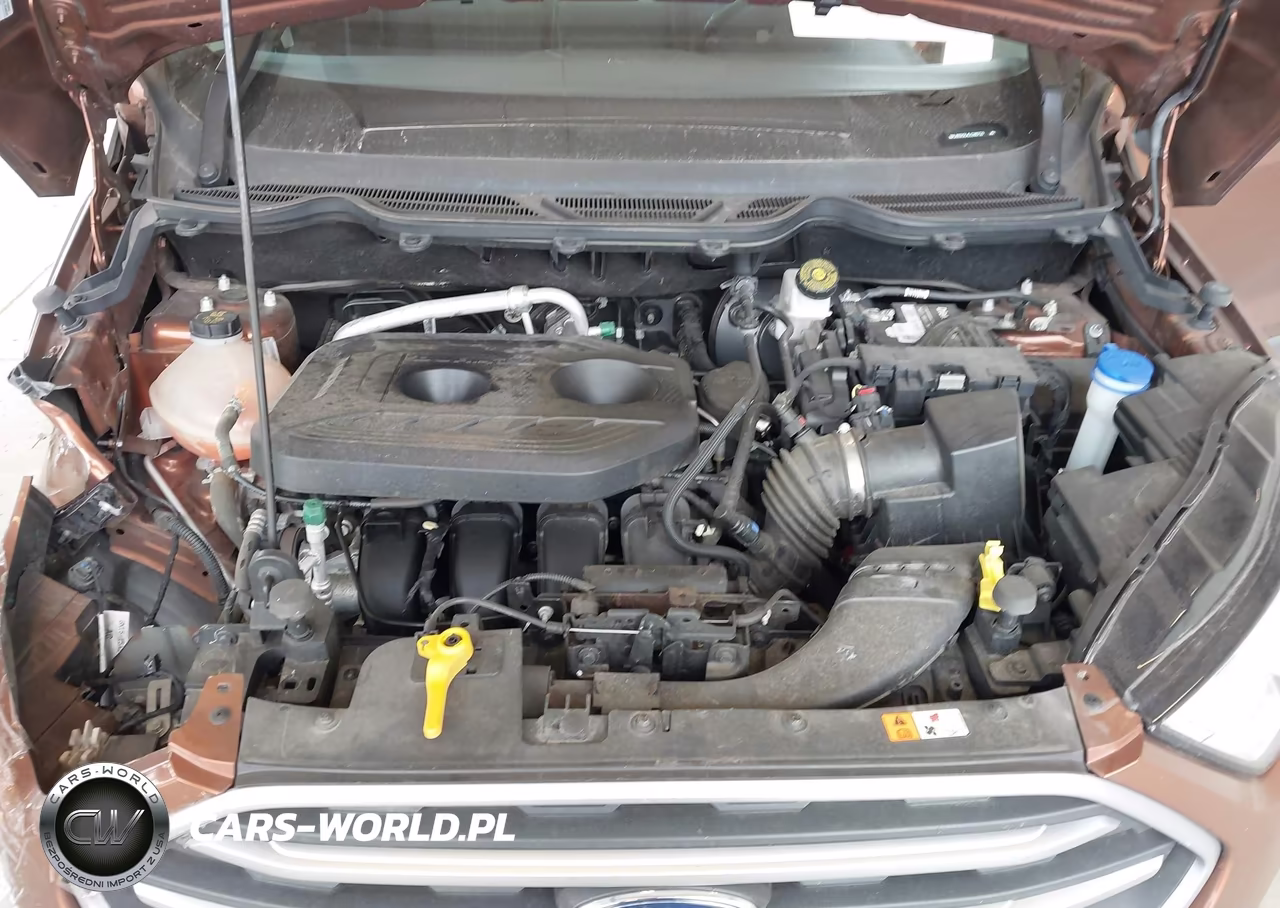 2020 Ford Ecosport Se VIN:MAJ6S3GL4LC365733 - 10
