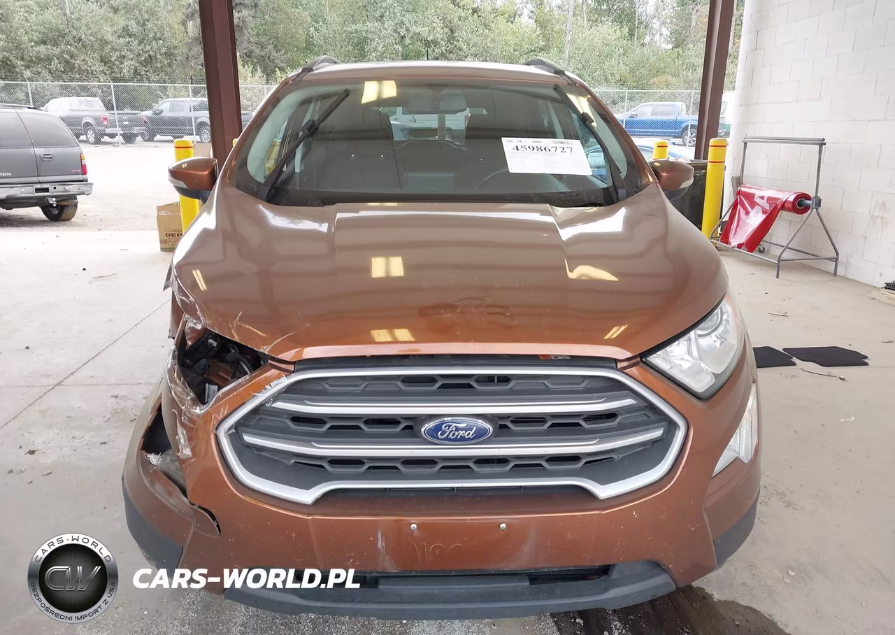 2020 Ford Ecosport Se VIN:MAJ6S3GL4LC365733 - 13