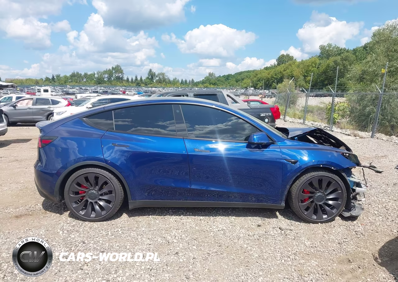 2021 Tesla Model Y Performance Dual Motor All-Wheel Drive VIN:5YJYGDEF1MF079091 - 12