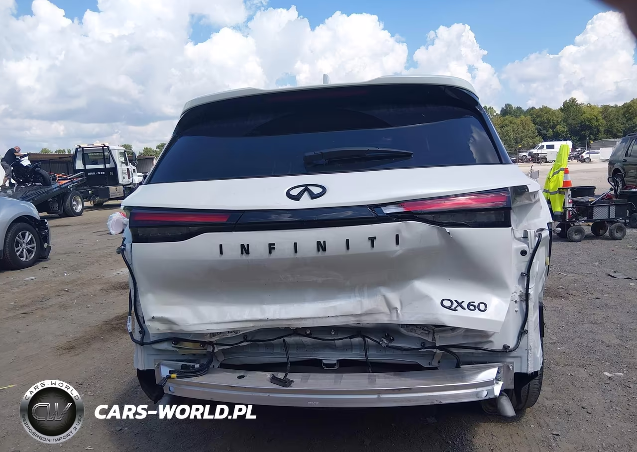 2025 Infiniti Qx60 Luxe VIN:5N1AL1FR2SC345910 - 17