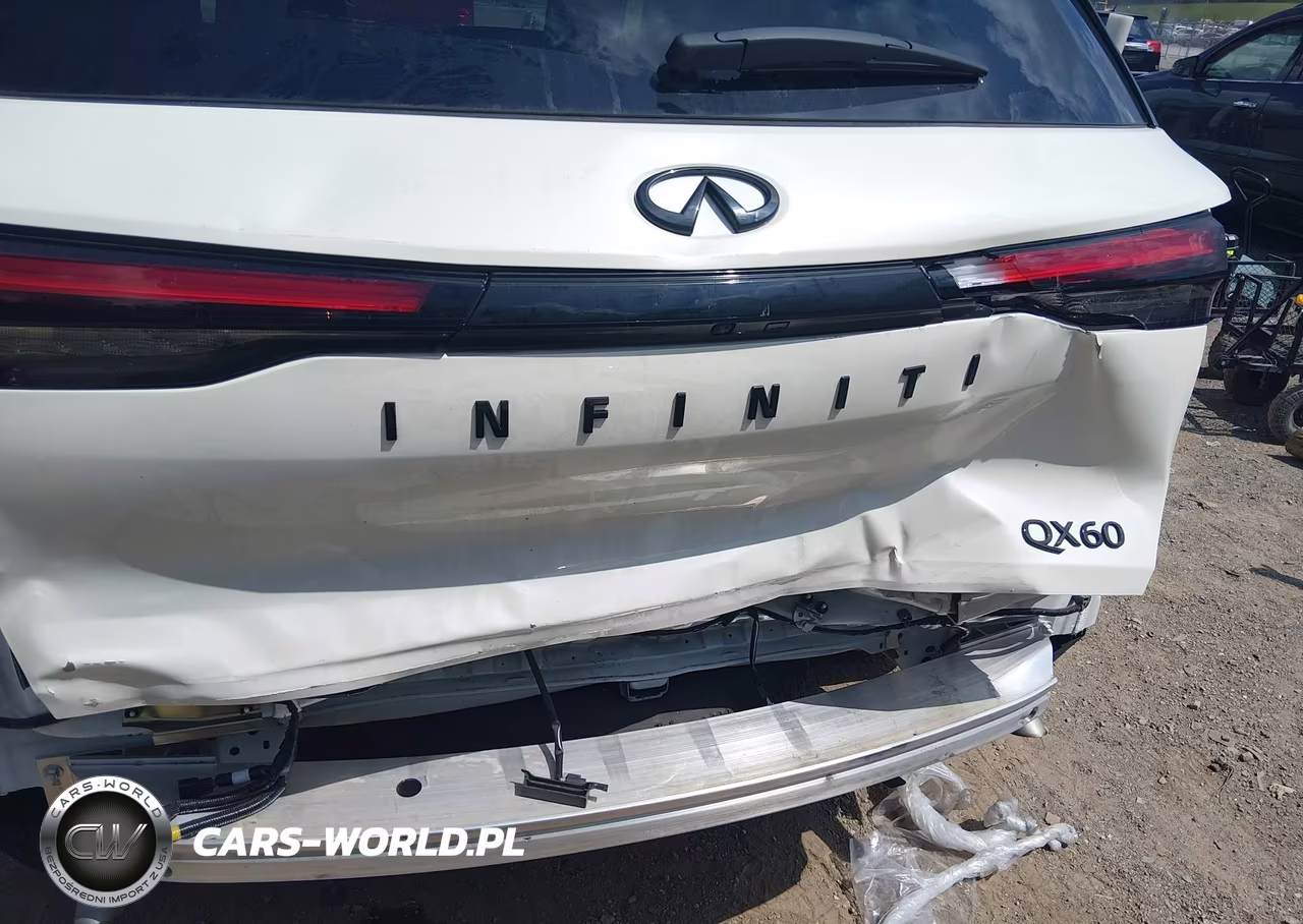 2025 Infiniti Qx60 Luxe VIN:5N1AL1FR2SC345910 - 6