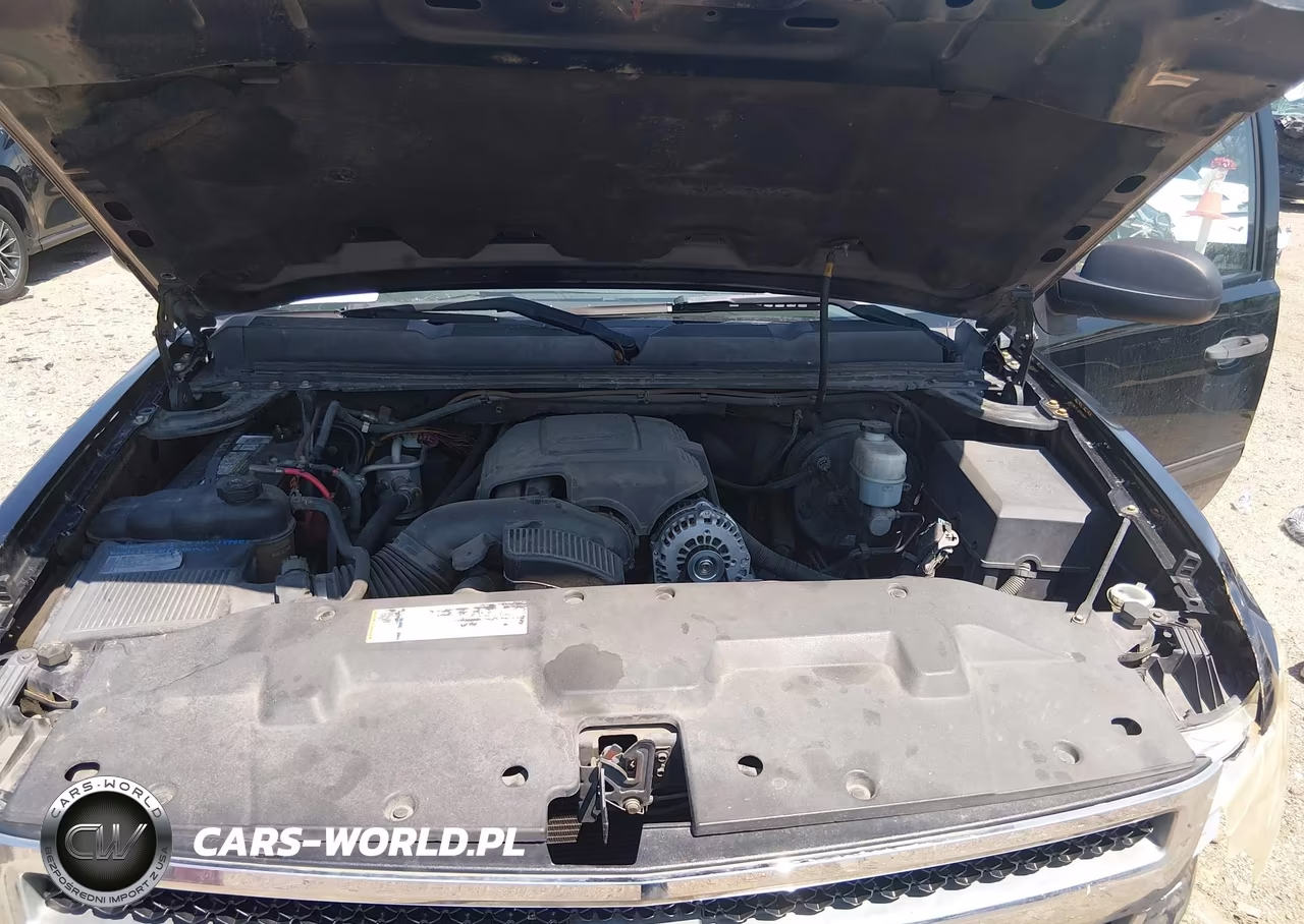 2010 Chevrolet Silverado 1500 Lt VIN:3GCRCSEA3AG127625 - 10
