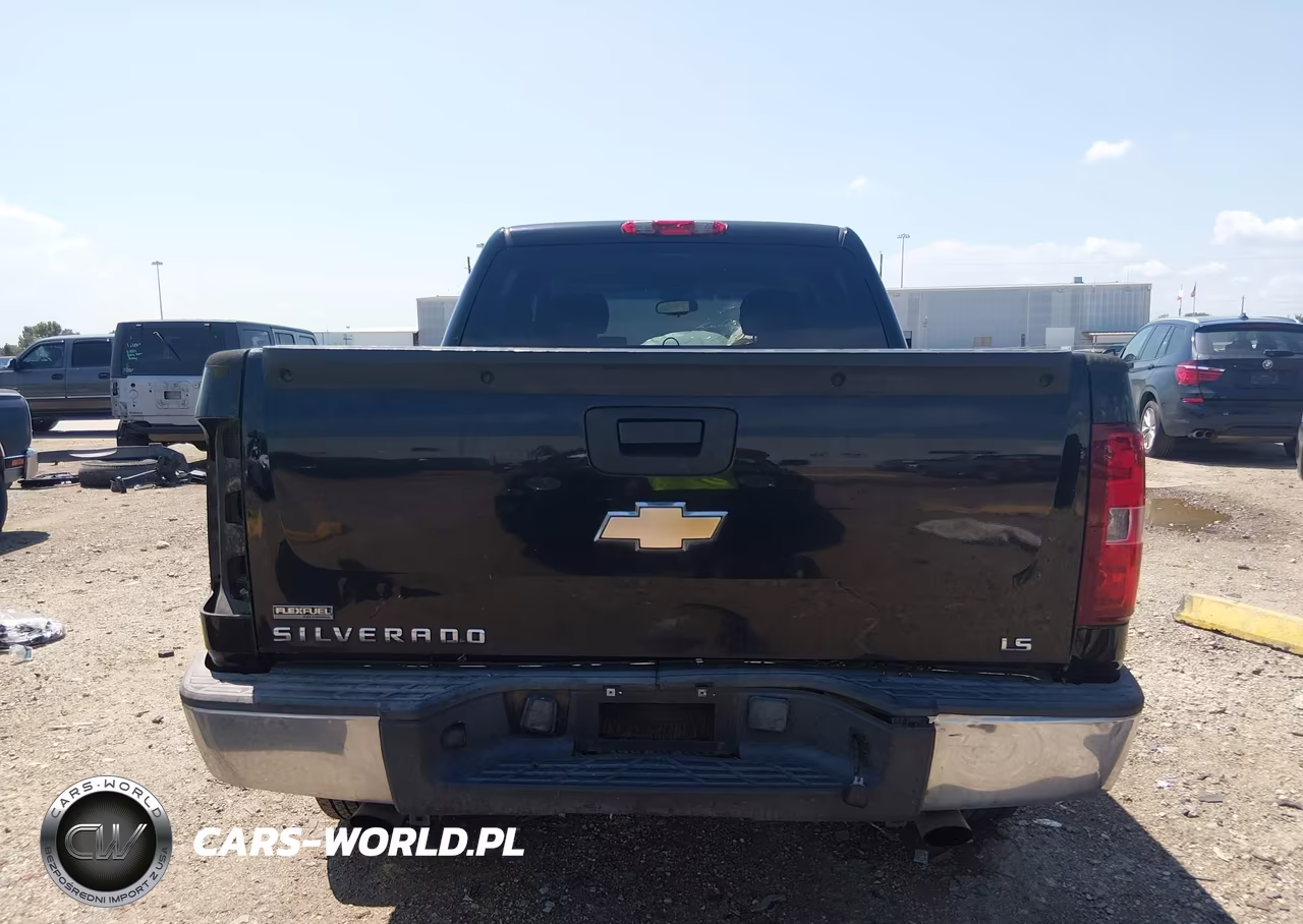 2010 Chevrolet Silverado 1500 Lt VIN:3GCRCSEA3AG127625 - 17