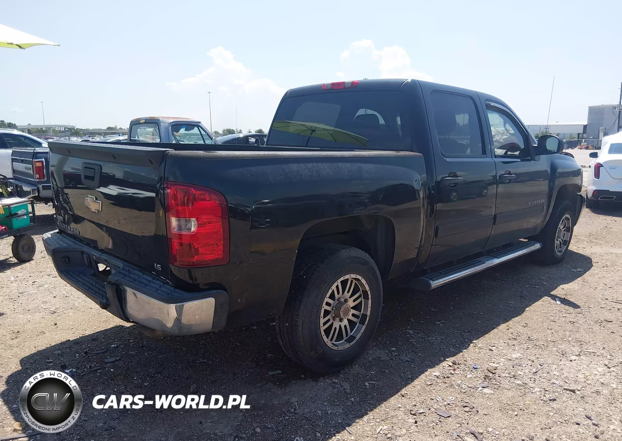 2010 Chevrolet Silverado 1500 Lt VIN:3GCRCSEA3AG127625 - 4