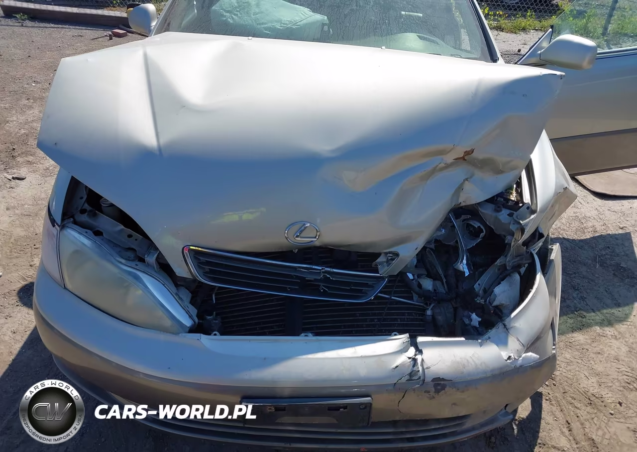1999 Lexus Es 300 VIN:JT8BF28G0X0234409 - 6