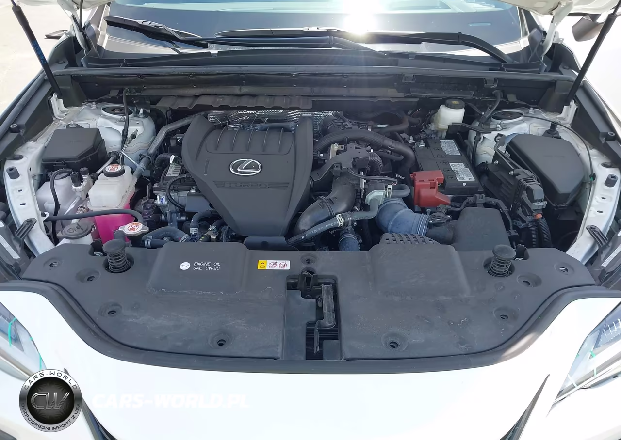 2025 Lexus Nx 350 F Sport Handling VIN:2T2KGCEZ8SC061498 - 10