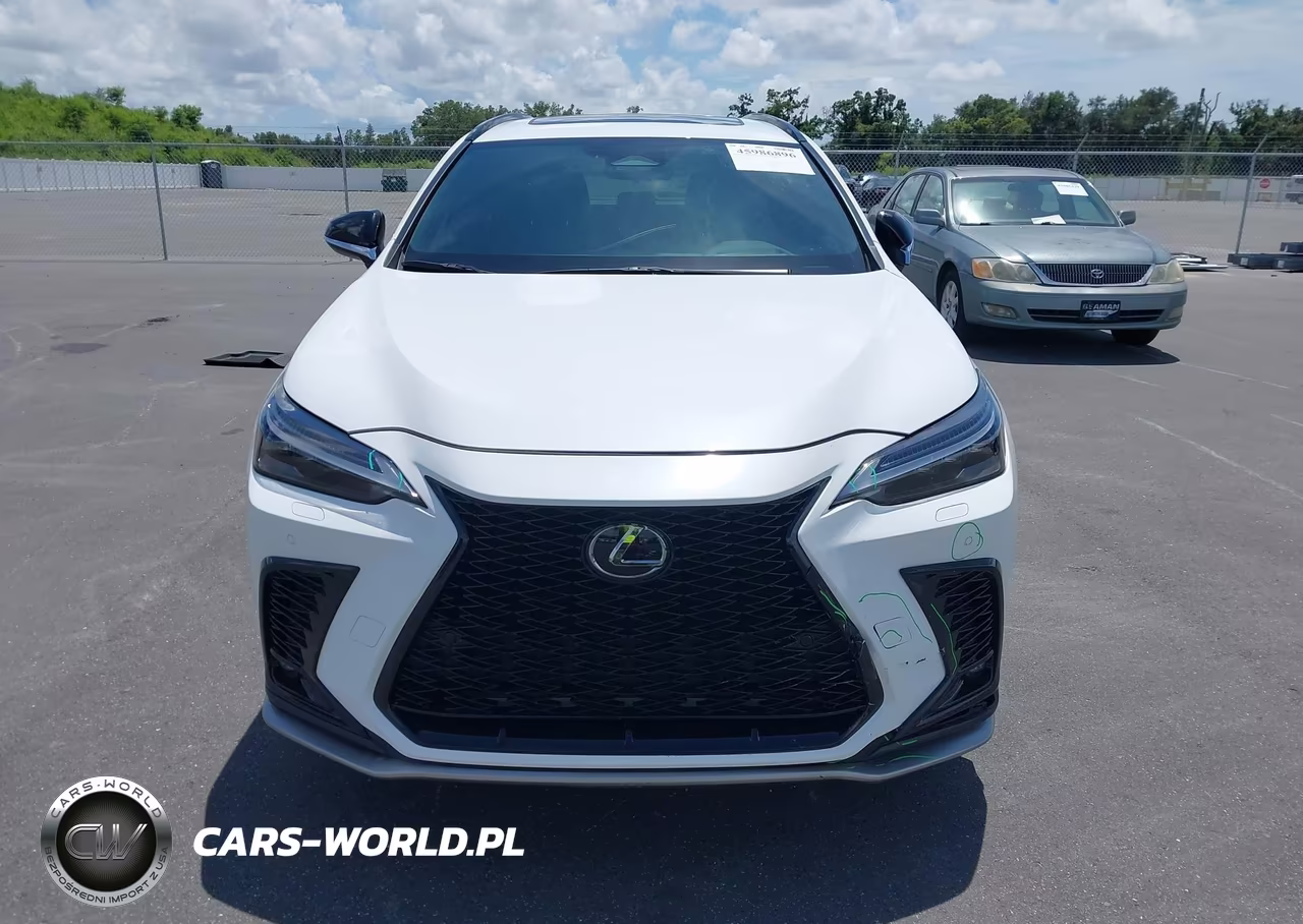 2025 Lexus Nx 350 F Sport Handling VIN:2T2KGCEZ8SC061498 - 13