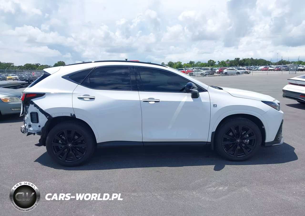 2025 Lexus Nx 350 F Sport Handling VIN:2T2KGCEZ8SC061498 - 14