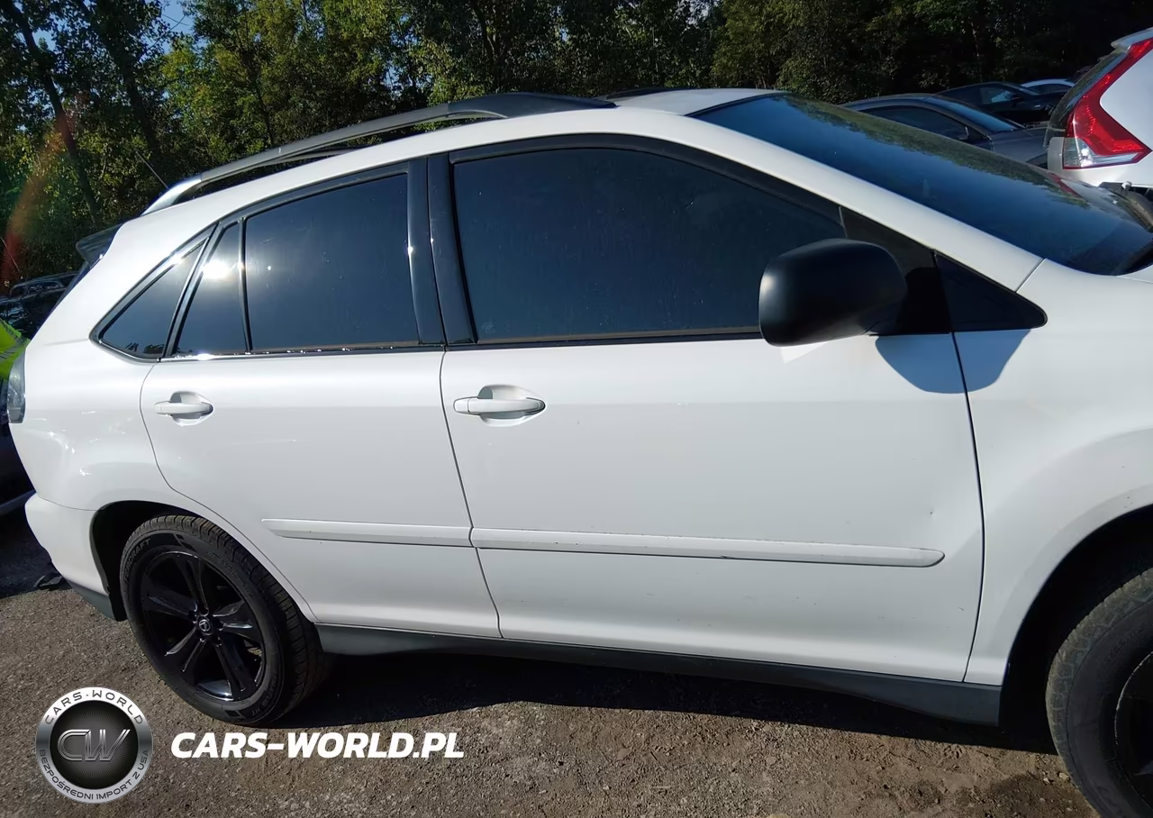 2007 Lexus Rx 350 VIN:2T2GK31U67C015433 - 13