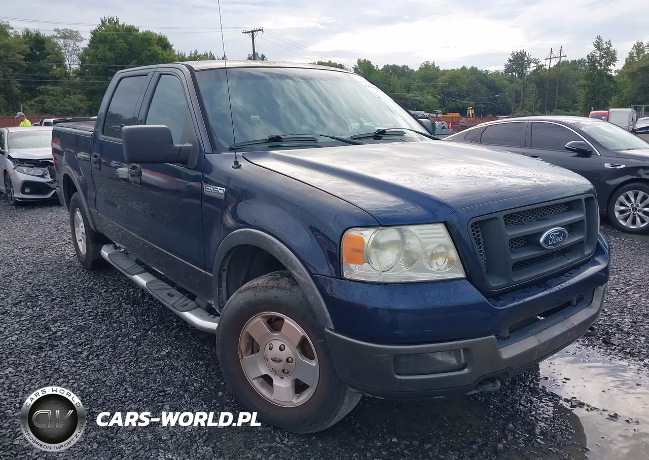 2004 Ford F-150 Fx4-Lariat-Xlt VIN:1FTPW14504KD07638 - 12