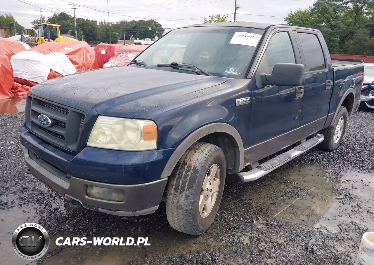 2004 Ford F-150 Fx4-Lariat-Xlt VIN:1FTPW14504KD07638 - 2