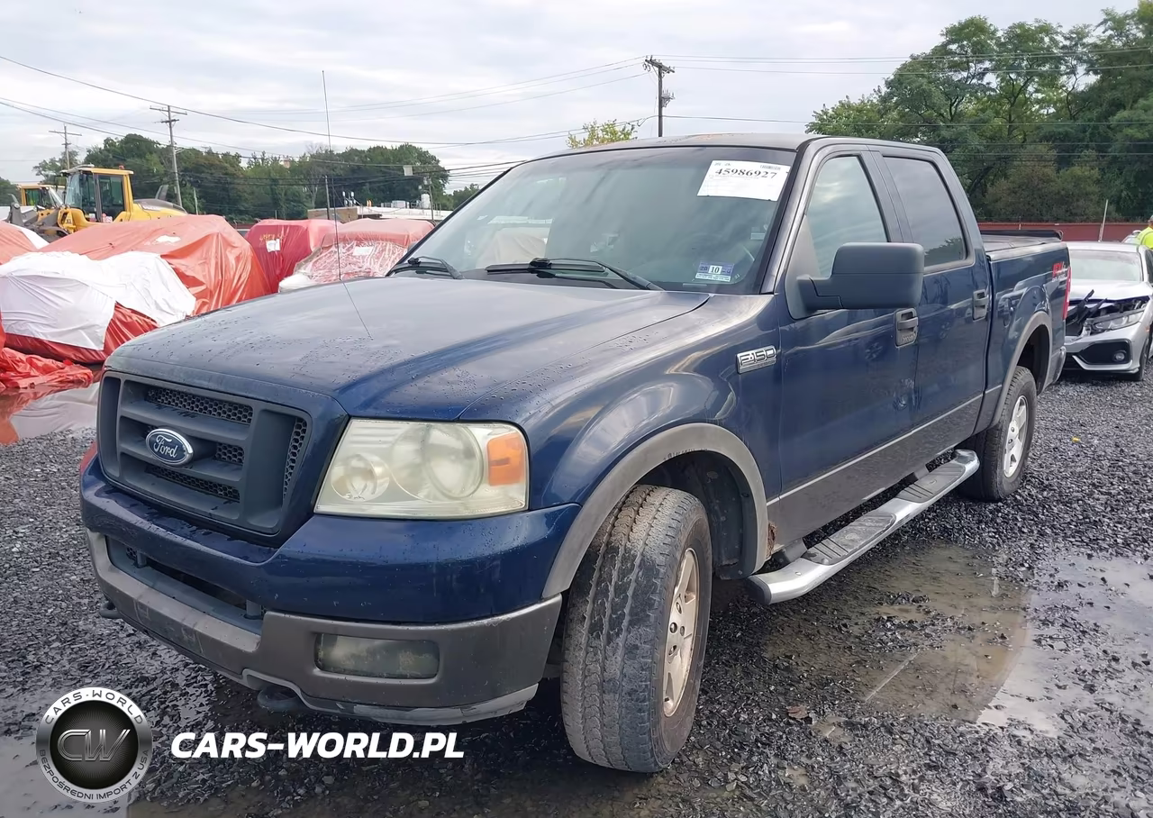 2004 Ford F-150 Fx4-Lariat-Xlt VIN:1FTPW14504KD07638 - 6