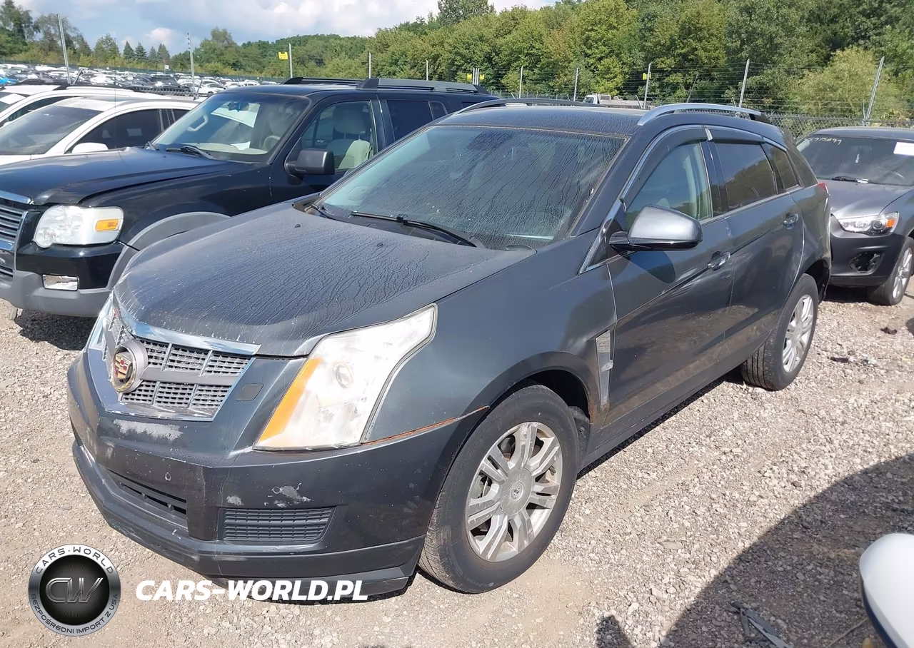 2011 Cadillac Srx Luxury Collection VIN:3GYFNDEY1BS564294 - 2
