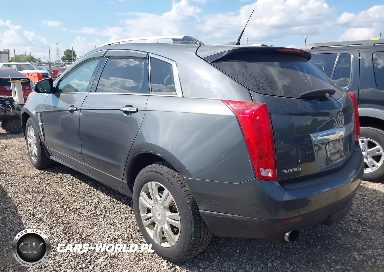 2011 Cadillac Srx Luxury Collection VIN:3GYFNDEY1BS564294 - 3