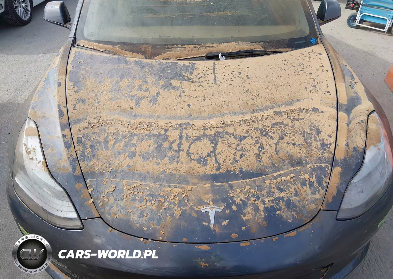 2022 Tesla Model 3 Long Range Dual Motor All-Wheel Drive VIN:5YJ3E1EBXNF178179 - 10