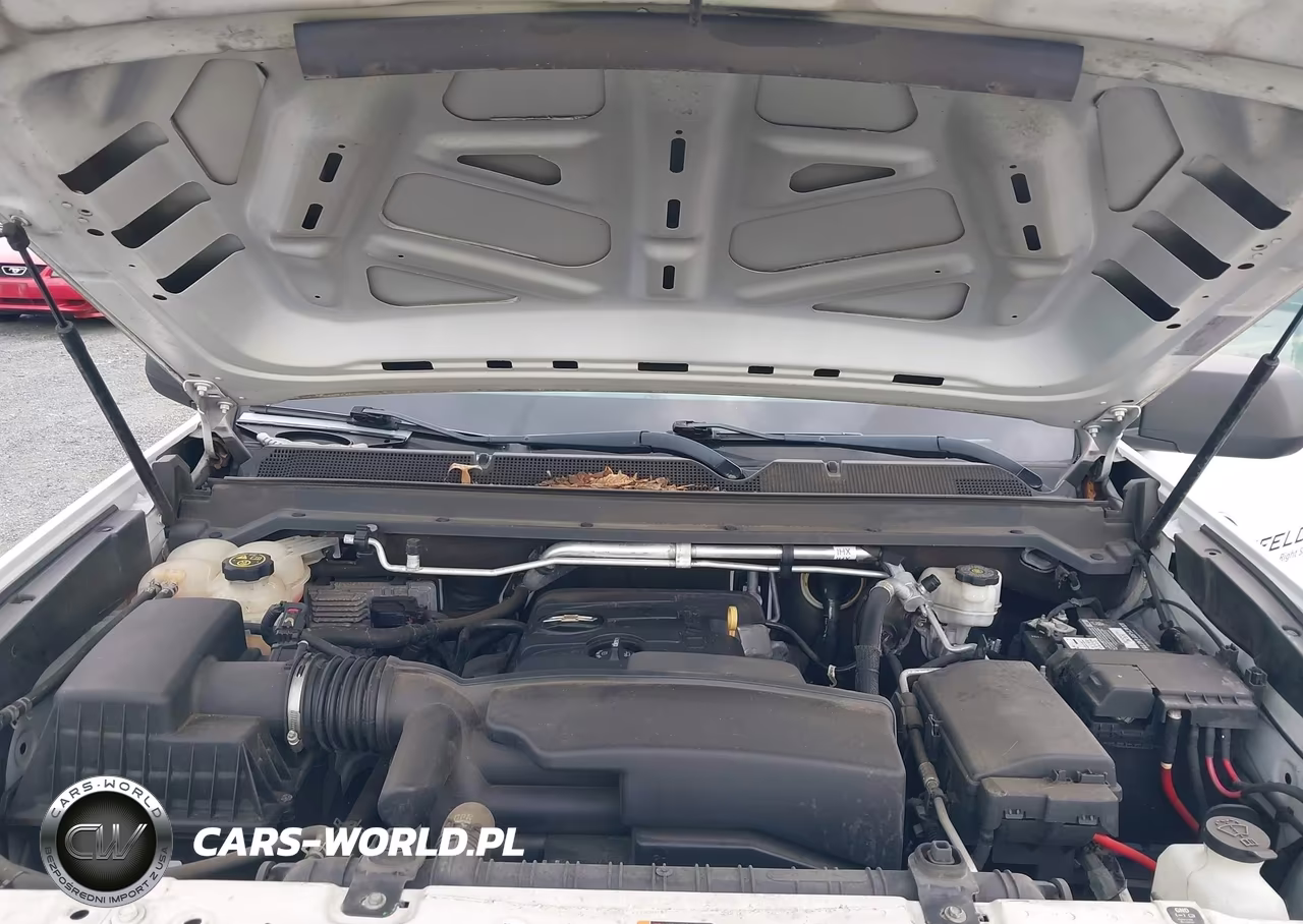 2020 Chevrolet Colorado 4Wd Long Box Wt VIN:1GCHTBEAXL1238220 - 10