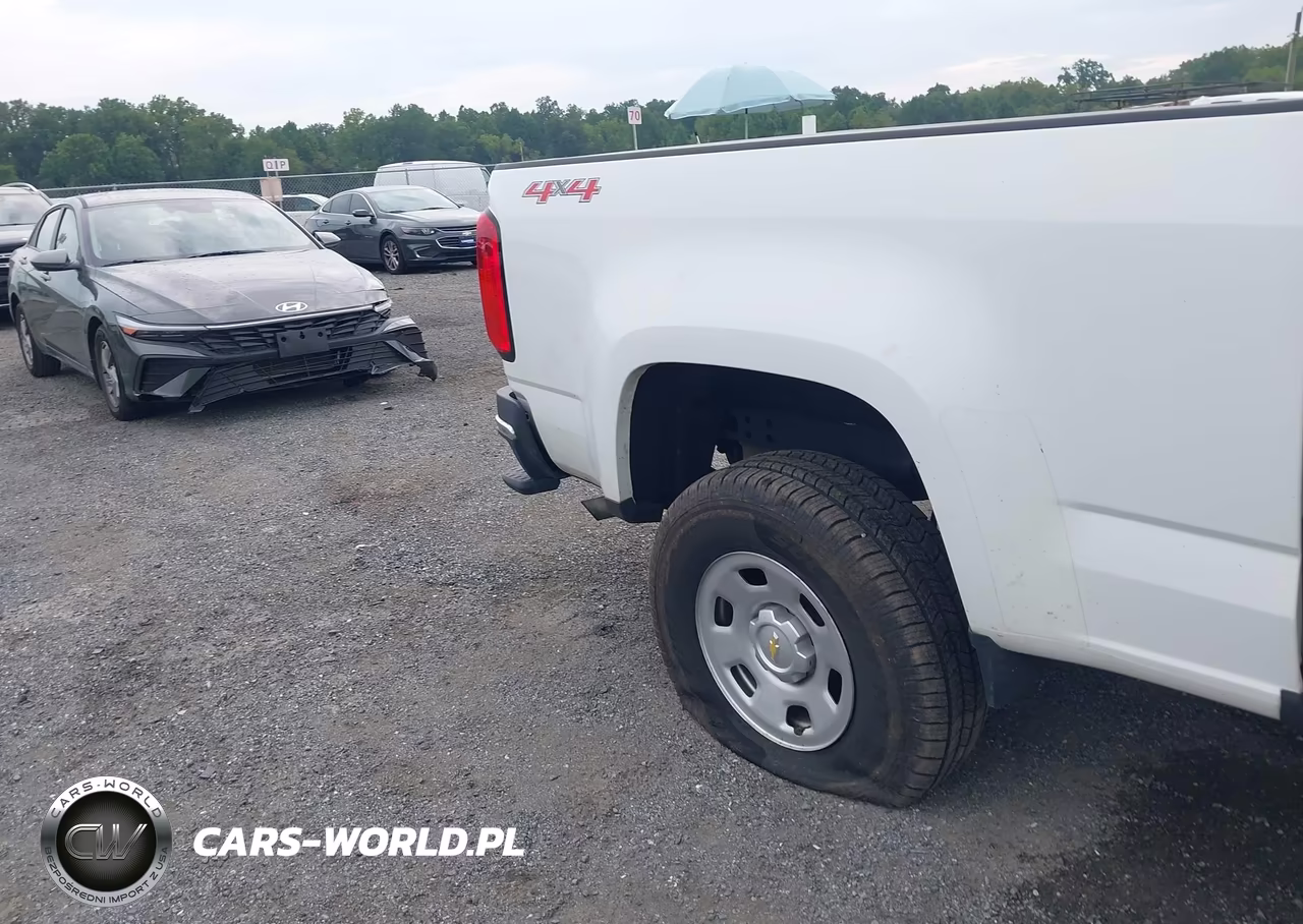 2020 Chevrolet Colorado 4Wd Long Box Wt VIN:1GCHTBEAXL1238220 - 13