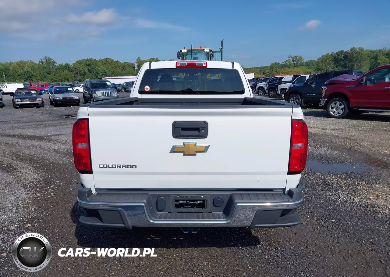 2020 Chevrolet Colorado 4Wd Long Box Wt VIN:1GCHTBEAXL1238220 - 18