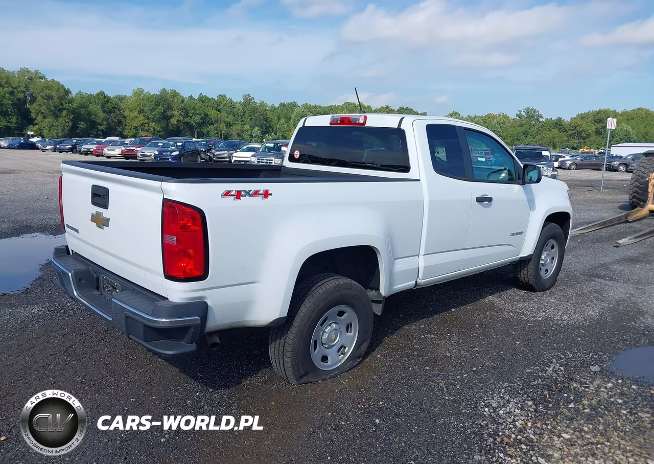 2020 Chevrolet Colorado 4Wd Long Box Wt VIN:1GCHTBEAXL1238220 - 4
