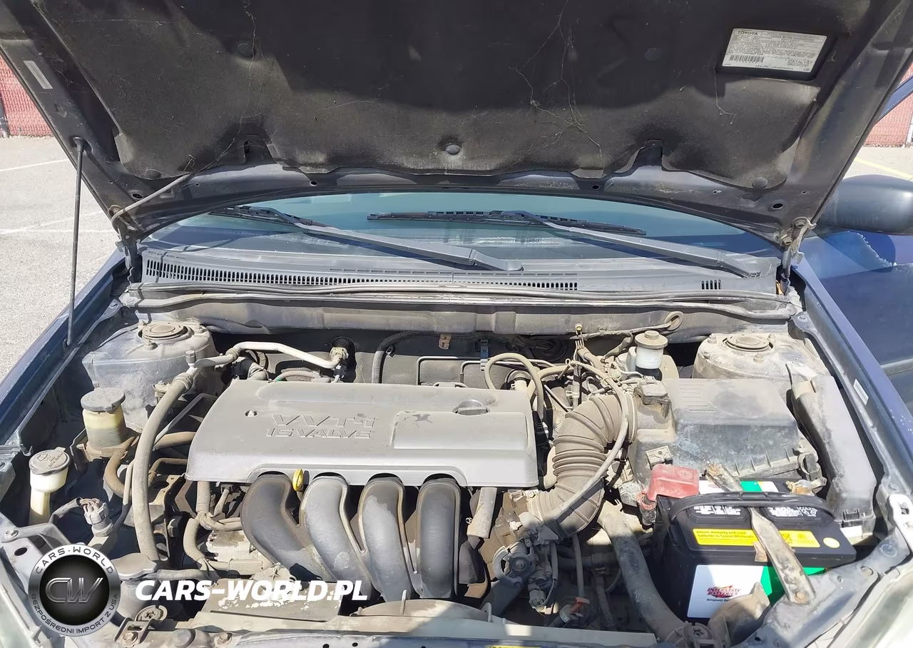 2003 Toyota Corolla Ce VIN:1NXBR32E13Z066168 - 10
