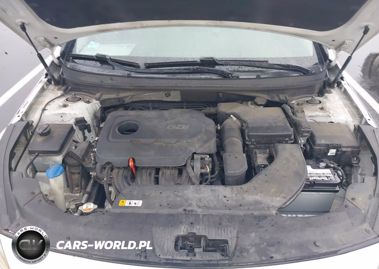 2016 Hyundai Sonata Se VIN:5NPE24AF1GH323562 - 10