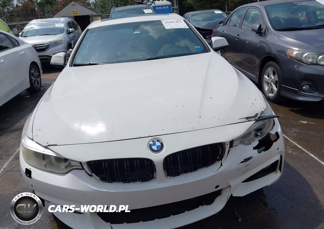 2017 BMW 430I Gran Coupe xDrive VIN:WBA4F9C50HG791948 - 12