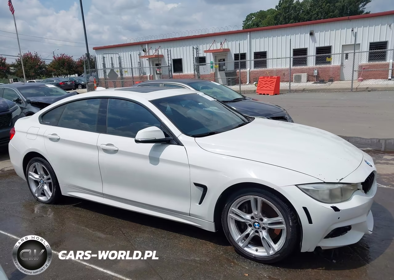2017 BMW 430I Gran Coupe xDrive VIN:WBA4F9C50HG791948 - 13