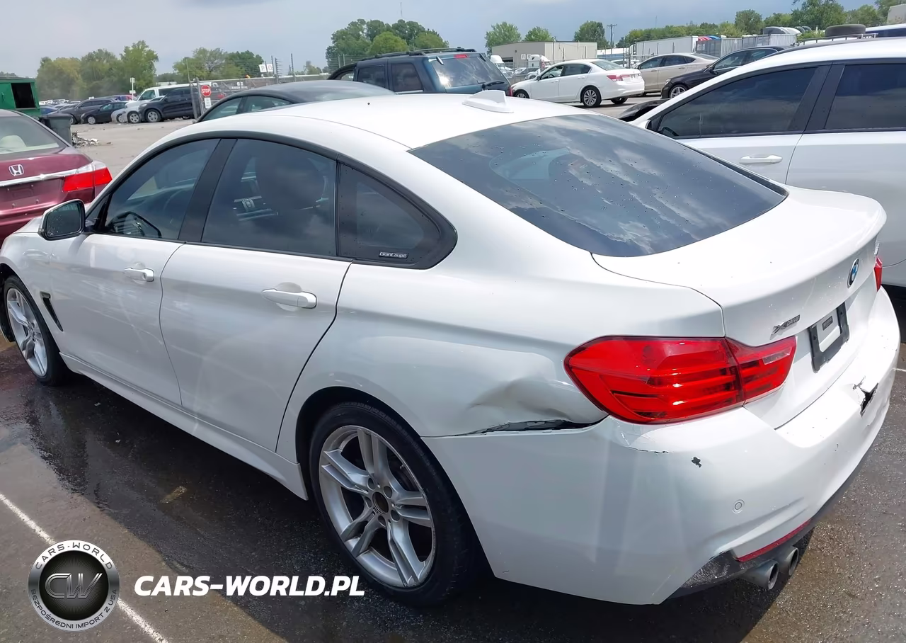 2017 BMW 430I Gran Coupe xDrive VIN:WBA4F9C50HG791948 - 14