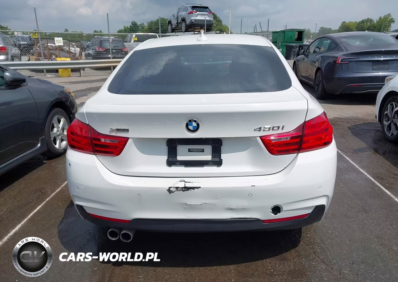 2017 BMW 430I Gran Coupe xDrive VIN:WBA4F9C50HG791948 - 16