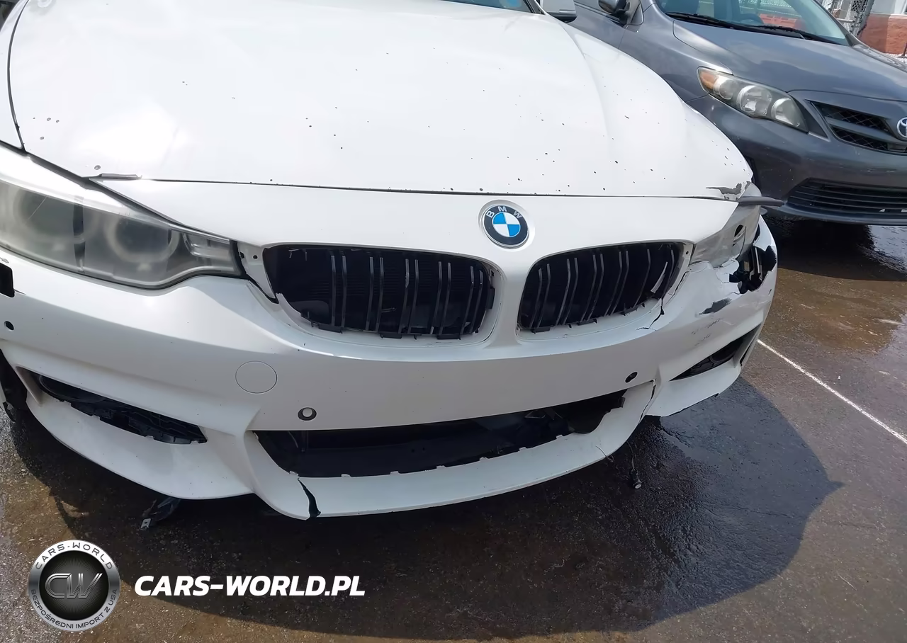 2017 BMW 430I Gran Coupe xDrive VIN:WBA4F9C50HG791948 - 17