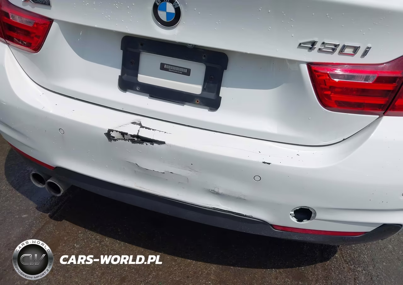2017 BMW 430I Gran Coupe xDrive VIN:WBA4F9C50HG791948 - 18