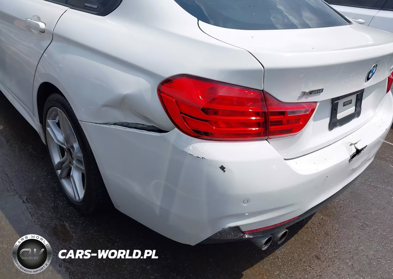 2017 BMW 430I Gran Coupe xDrive VIN:WBA4F9C50HG791948 - 19