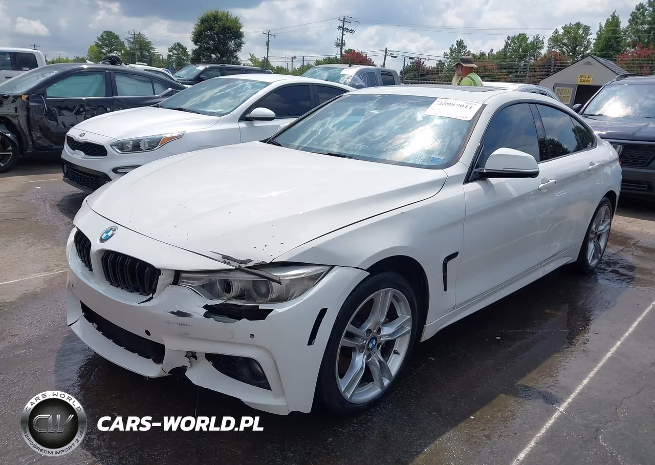 2017 BMW 430I Gran Coupe xDrive VIN:WBA4F9C50HG791948 - 2