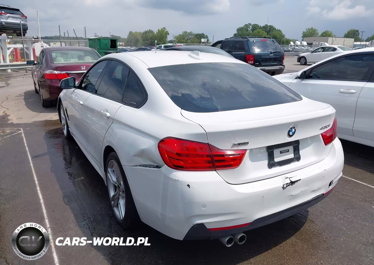 2017 BMW 430I Gran Coupe xDrive VIN:WBA4F9C50HG791948 - 3