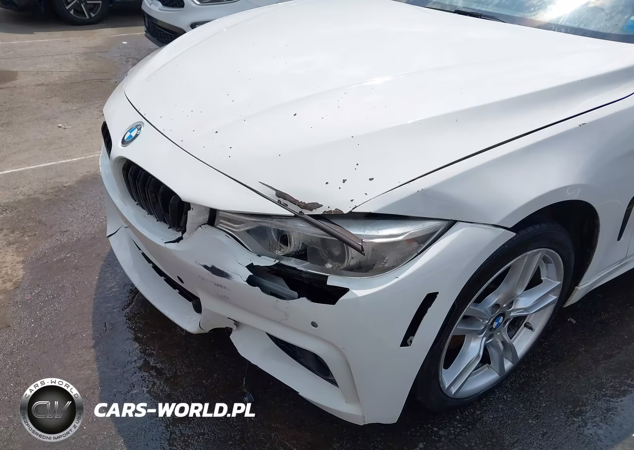 2017 BMW 430I Gran Coupe xDrive VIN:WBA4F9C50HG791948 - 6