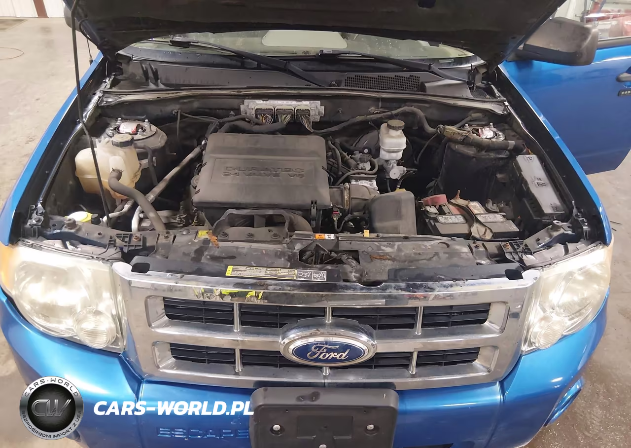 2012 Ford Escape Xlt VIN:1FMCU0DG2CKA48239 - 10