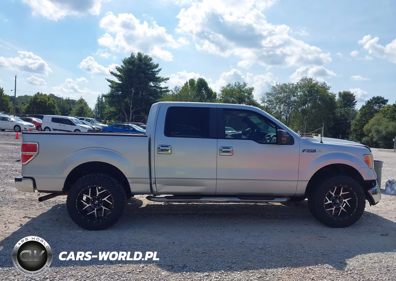 2010 Ford F-150 Fx2 Sport-Harley-Davidson-King Ranch-Lariat-Platinum-Xl-Xlt VIN:1FTFW1CV1AFA17362 - 14