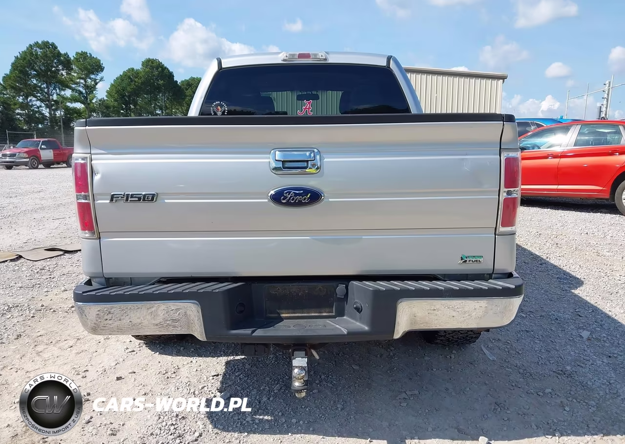 2010 Ford F-150 Fx2 Sport-Harley-Davidson-King Ranch-Lariat-Platinum-Xl-Xlt VIN:1FTFW1CV1AFA17362 - 17