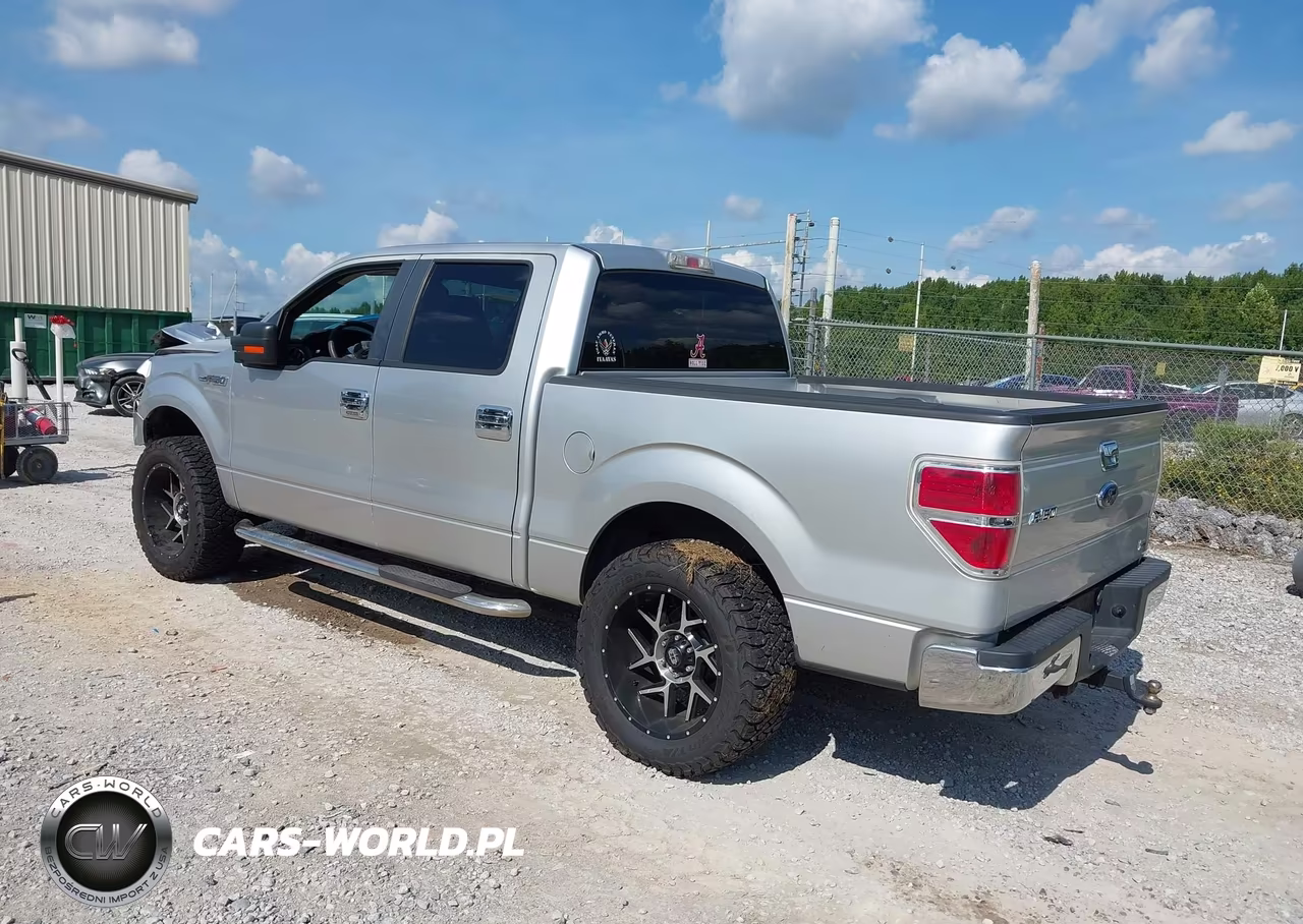 2010 Ford F-150 Fx2 Sport-Harley-Davidson-King Ranch-Lariat-Platinum-Xl-Xlt VIN:1FTFW1CV1AFA17362 - 3