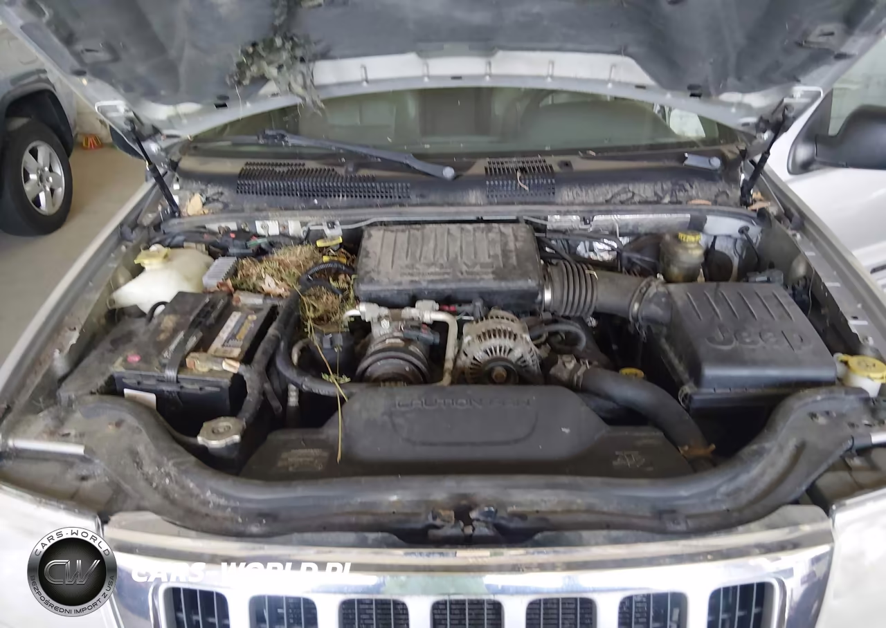 2004 Jeep Grand Cherokee Limited VIN:1J4GW58N04C256180 - 10
