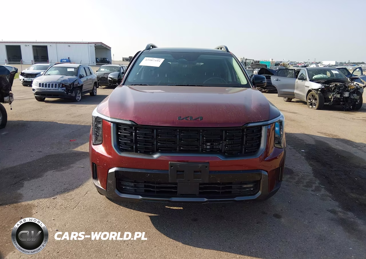 2025 Kia Sorento X-Line Ex VIN:5XYRHDJFXSG402227 - 12