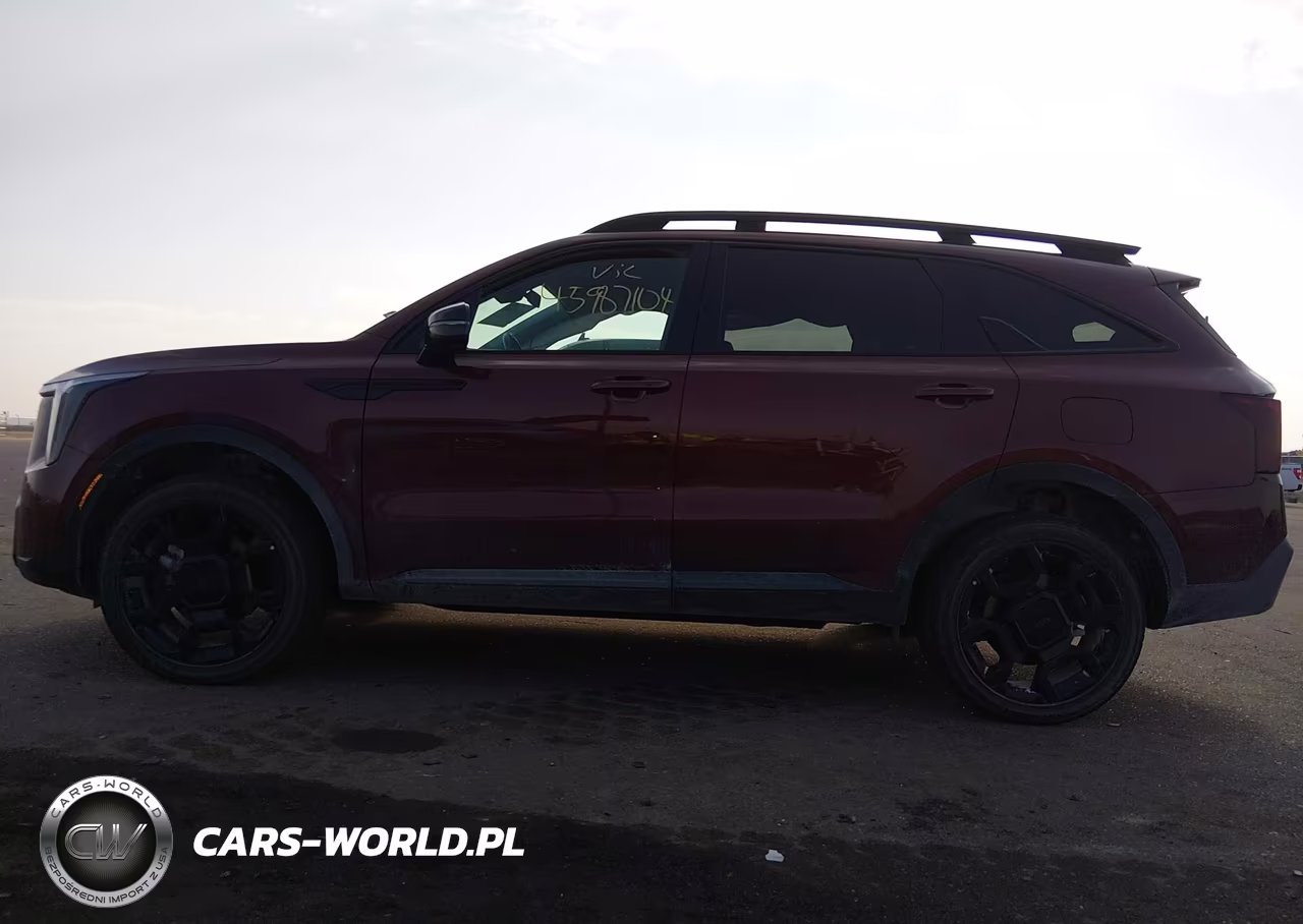 2025 Kia Sorento X-Line Ex VIN:5XYRHDJFXSG402227 - 14