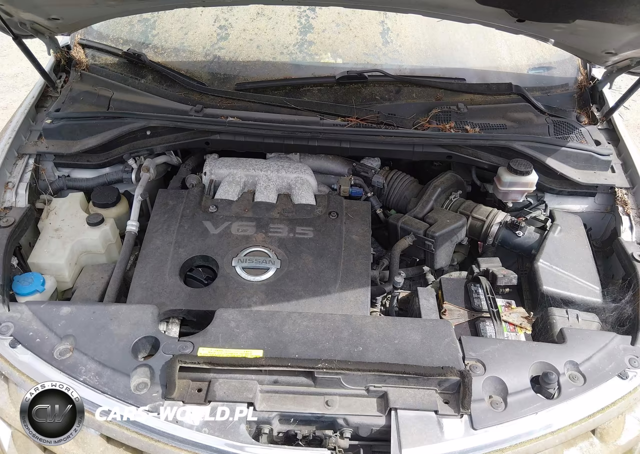 2003 Nissan Murano Se VIN:JN8AZ08W83W226974 - 10