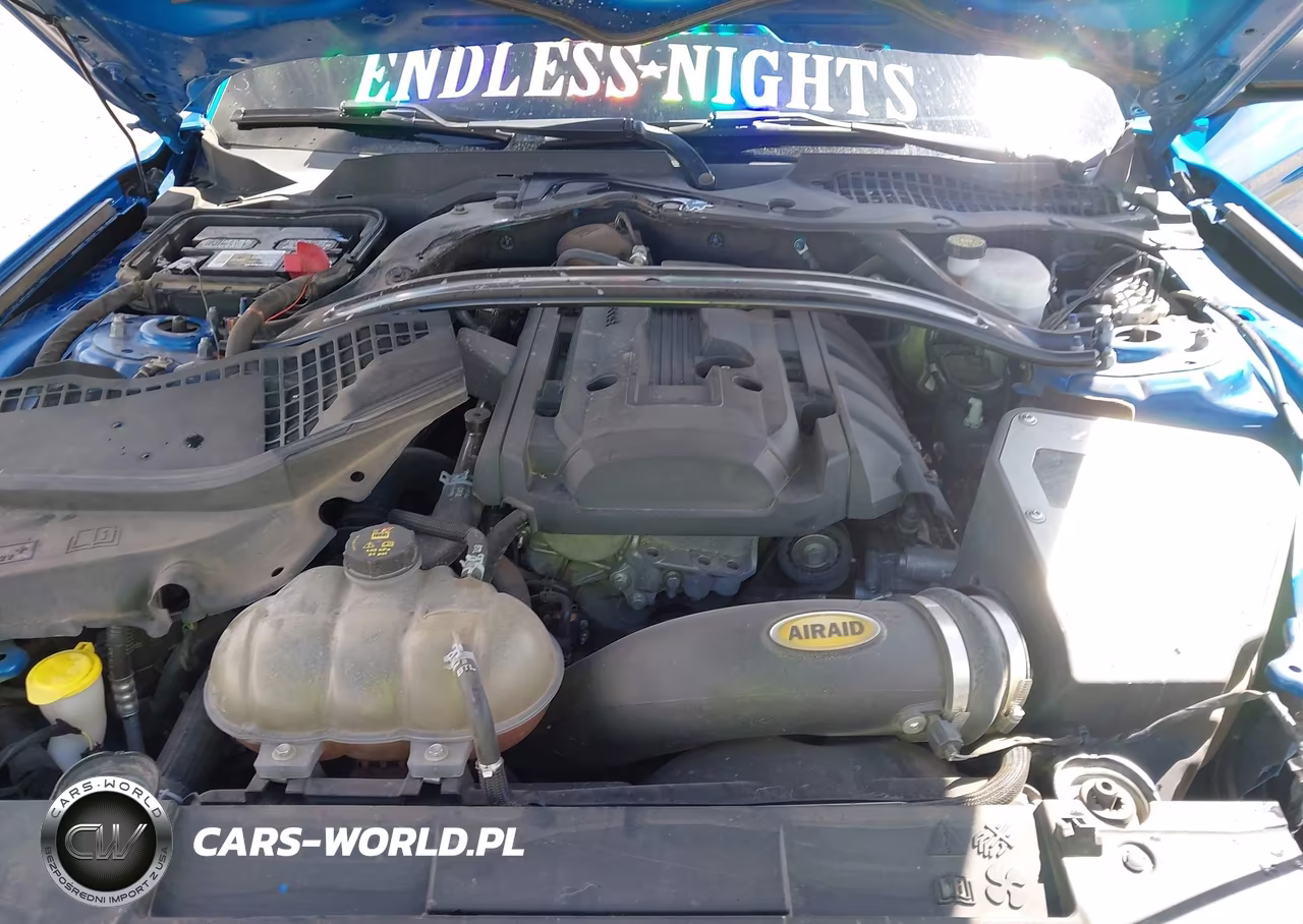 2019 Ford Mustang Ecoboost Premium VIN:1FA6P8TH0K5143516 - 10